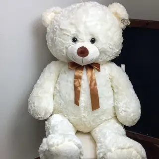 Niedźwiedź polarny)))