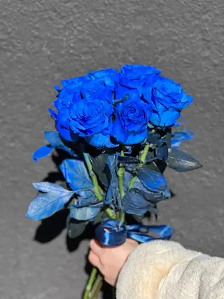 Bleu