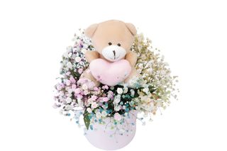 Teddy and rainbow gipsofila box