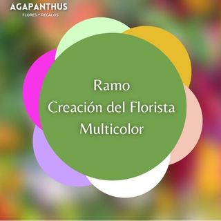 Ramo Multicolor "Picasso"