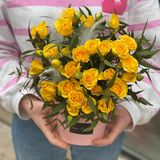 ყვითელი ვარდი xs box