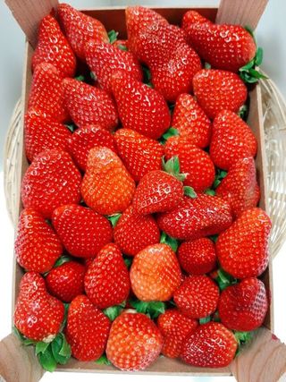 Fresón (Aprox. 500 gr.)