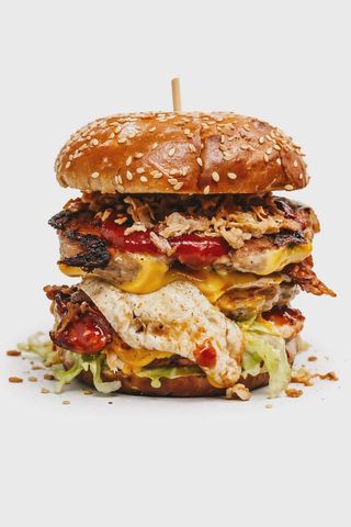 Erdoglija burger