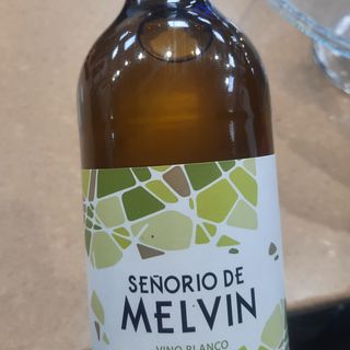 Vino blanco 