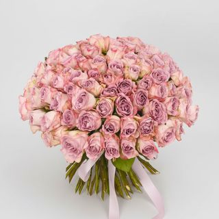 101 троянда Memory Lane (Кенія)