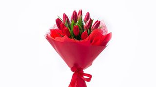 Buket od 11 crvenih lala