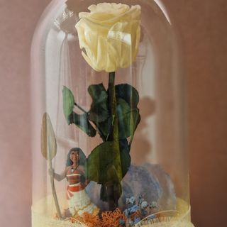 Cúpula mediana Vaiana 