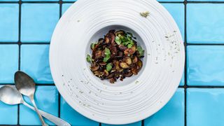 Eggplant Chips with coriander and balsamic vinegar