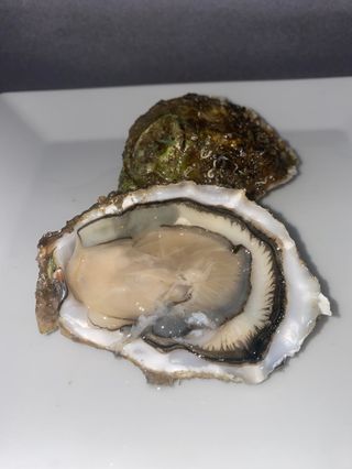 Ostras Perletes (6 Uds.)