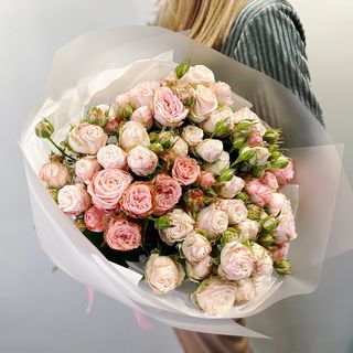 15 შესხურებული ვარდი 3051