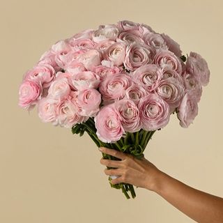 Ramo de 30 Ranunculos rosas