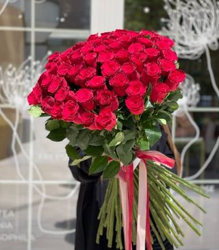 65 Голландских красных роз 80 см.