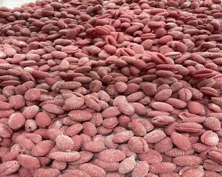 Gnocchis  De Remolacha 200Gr