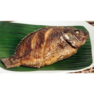 Fried Tilapia
