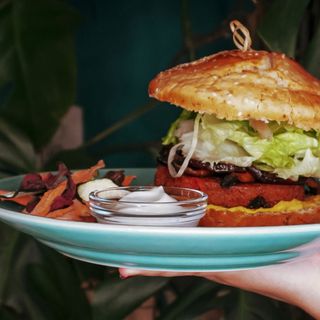 Spring Bean Burguer