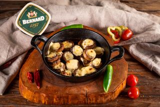 სოკო კეცზე სულგუნით