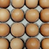 Sip Breakfast Sandwich