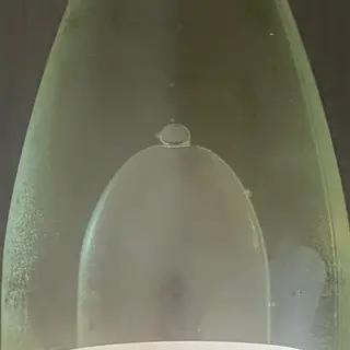 Vino frizzante