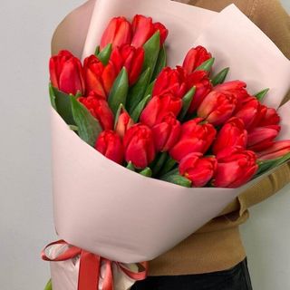 Ramo 25 Tulipanes Rojos 