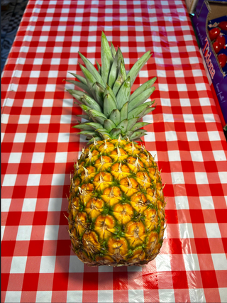 Ananas aerea - 1 pezzo