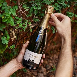 Perelada Stars Touch Of Rose - D.O. Cava