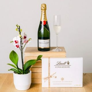 Planta de orquidea, Champan y chocolates