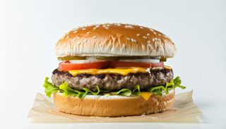 Hamburger Scottona Italiana 155 g