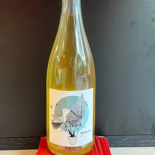 Vino Natural Blanc Propeller 2021 (750 Ml.)