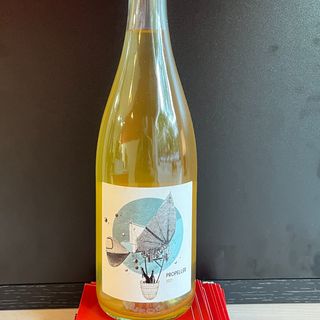 Vino Natural Blanc Propeller 2021 (750 Ml.)