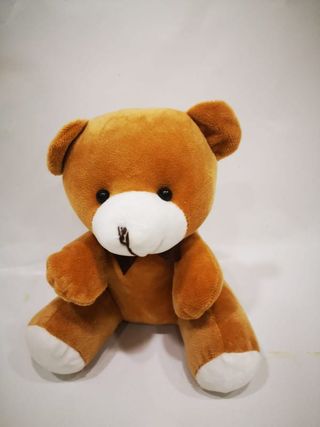 Osito Peluche 17 Cm.