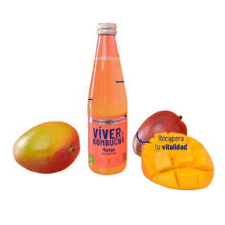 Kombucha Viver "Mango"