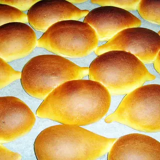 Bicos de Pato