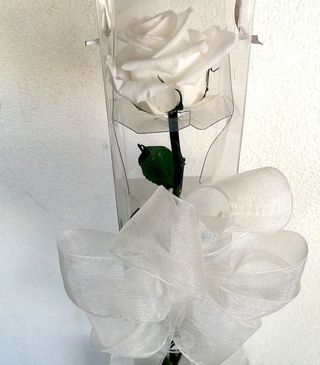 Rosa Preservada Branco Puro - caule longo
