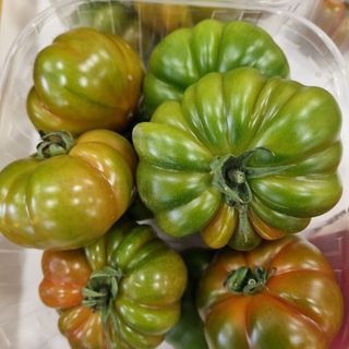 Pomodoro costoluto/ merinda