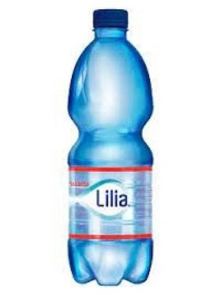 Acqua frizzante 50 cl