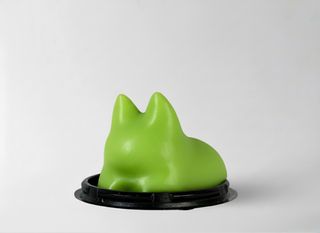 Панна кіт "фісташка"