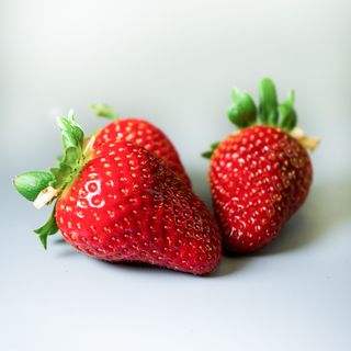 Fresón del Maresme 500gr/uni