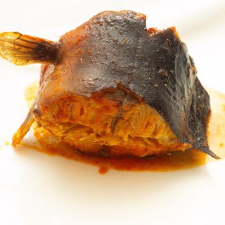 Cat Fish