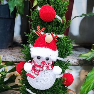 Alberello di Natale addobbato