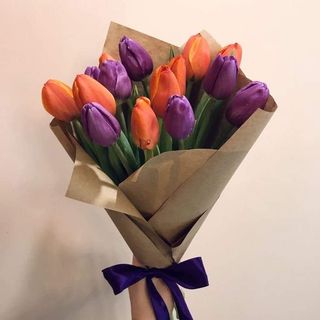 ფერადი ტიტები