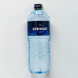 Water 500ml Pet