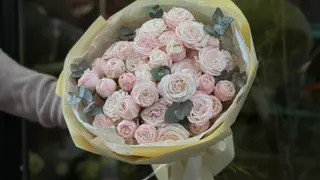 ვარდი “Bombastic” ,10 ტოტი