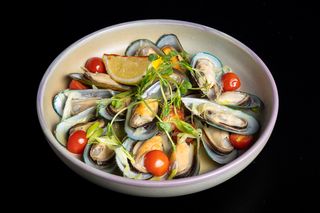 Midii GREEN SHELL in vin