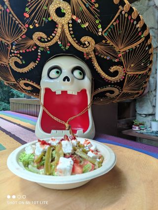 Ensalada de Nopal (Sałatka z kaktusa) duża