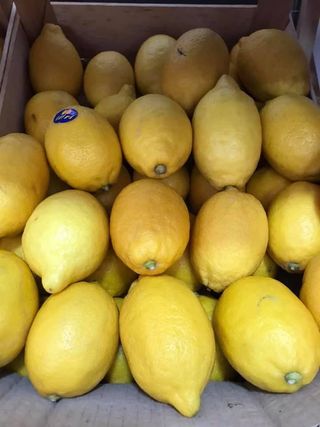 Limun 