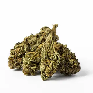 Euphoria Citric