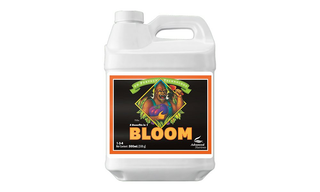 PH Perfect Bloom 500 მლ