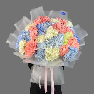 Букет из 25 Гортензии микс 