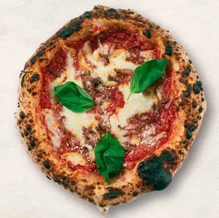 AMATRICIANA