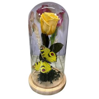 Cupula con rosa amarilla preservada